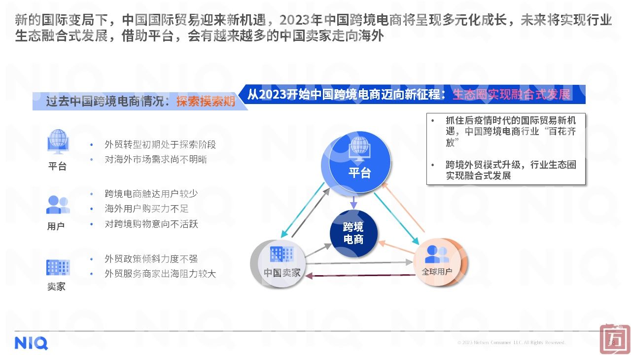 尼尔森IQ：2023年中国跨境电商平台出海白皮书（附下载）(图28)